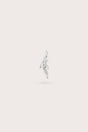 NIS EARRING - CLEAR PAVE