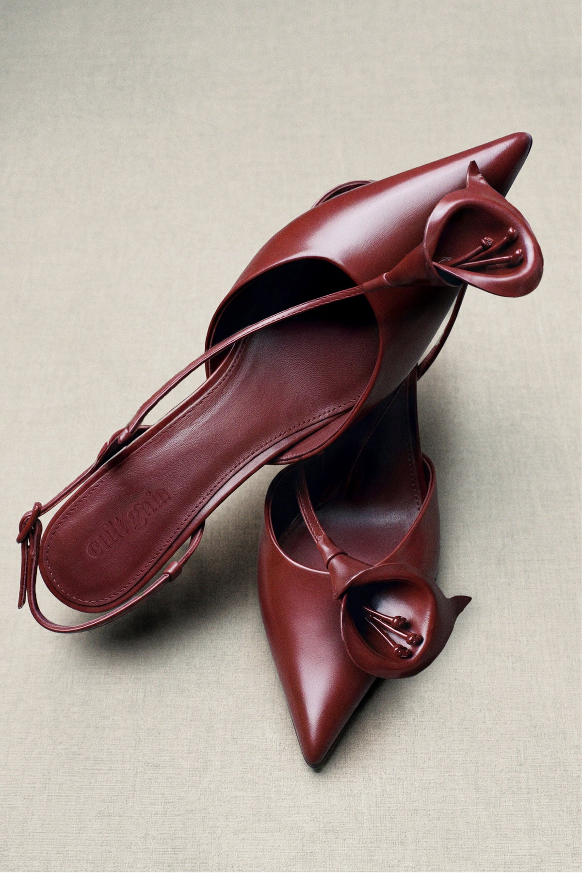 DISCOVER GUEST OF DRESSING ON cultgaia.pro